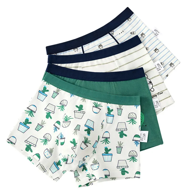 kf-Sec18b5426e0b44f1a4464e8ab18e9f55a New Cotton Underwear Set For Boys - Image 1